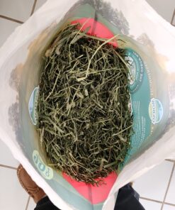 Oxbow Animal Health Western Timothy Hay - All Natural Hay for Rabbits, Guinea Pigs, Chinchillas, Hamsters & Gerbils -Veterinarian Recommended- Grown in the USA-90 oz. 5.62 Pound (Pack of 1) 30 81xMwEkhQ L