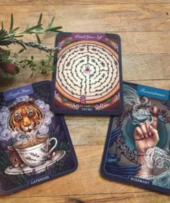 The Illustrated Herbiary: Guidance and Rituals from 36 Bewitching Botanicals (Wild Wisdom) Hardcover, Illustrated 55 81xNPyhbblL 1