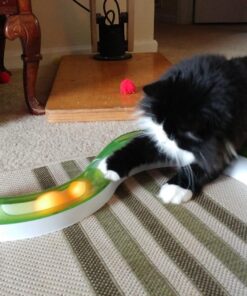 EastPoint Sports Penn Competition Grade 3-Star Table Tennis Balls – 40mm – 6 Pack 21 81xNoLlCH6L