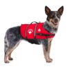 Paws Aboard Dog Life Jacket - Keep Your Canine Safe with a Neoprene Designer Life Vest - Perfect for Swimming and Boating - Red, Medium