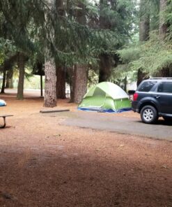 Coleman Sundome Camping Tent, 2/3/4/6 Person Dome Tent with Snag-Free Poles for Easy Setup in Under 10 Mins, Included Rainfly Blocks Wind & Rain, Tent for Camping, Festivals, Backyard, Sleepovers Palm Green 4 Person 30 81xROkeghVL