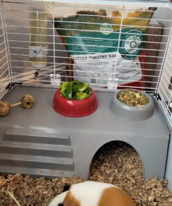 Living World - Deluxe Hybrid Habitat, X-Large - Rabbit, Guinea Pig, Chinchillas, and Small Animal Cage 46.9"L x 22.8"W x 24.0"H Standard Packaging 27 81xT1F8atpL