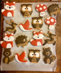 Free Hand Writer Bottles - 6 Easy Small Squeeze Bottles - 3 Each (1 and 2 Ounce) - Cookie Cutters, Cake and Baking Decoration, Food Coloring & Royal Icing Supplies for Writing (6 bottles) 6 Pieces 45 81xWDUaFTL