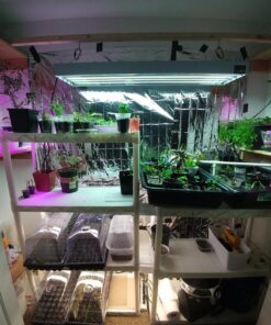 Hydrofarm FLT44 System 4' Fluorescent Grow Light, 1 Count (Pack of 1), White 4 Tubes 4-Feet 18 81xWGgq7 bL