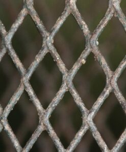 NaturesPeck® Dried Mealworms (11-22-44 lbs) Non-GMO High Protein Treats for Chickens & Wild Birds 11.00 Pound (Pack of 1) 13 81xXovrhIJL