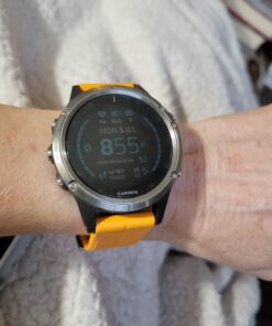 Garmin fenix 5 Plus, Premium Multisport GPS Smartwatch, Features Color Topo Maps, Heart Rate Monitoring, Music and Contactless Payment, Titanium with Orange Band 32 81xcwfPYUL