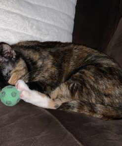 SPOT by Ethical Products - Sponge Soccer Balls Cat Toy, 4-Pack Interactive Cat toys Chasing Hunting Stimulating Cat toys For Indoor Cats Best Sellers, Small Green, Pink, Blue, Yellow, Black 22 81xdkgiEovL