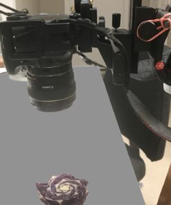 Neewer 4-Way Macro Focusing Focus Rail Slider/Close-Up Shooting for Canon Nikon, Pentax, Olympus, Sony, Samsung and Other Digital SLR Camera and DC with Standard 1/4-Inch Screw Hole 44 81xfevAAhbL