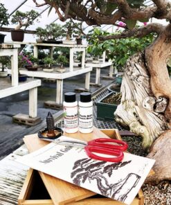 Tinyroots Starter Bonsai Tool Kit - Survival Guide + Set Includes: Butterfly Pruning Shears, Bottle Uncle Bill's Fertilizer, 2 Ounce Frit, Aluminum Wire, Genuine Chinese Mud Figurine - Bamboo Case 8 81xikn2SveL