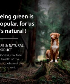 SamaN Interior One Step Wood Seal, Stain and Varnish – Oil Based Odorless Dye - Protection for Furniture and Fine Wood (Brazilian Cherry SAM-306, 32 oz) 1 Quart Brazilian Cherry 15 81xj3oSOlZL