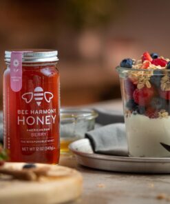 BEE HARMONY American Berry Honey, 12 OZ 16 81xjEwmMbES