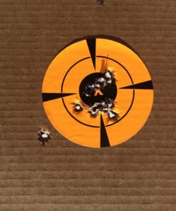 EasyShot Shooting Target Stickers-Adhesive Gun Targets for Shooting Targets for Rifle, Pistol, Air Pellet, Airsoft Guns Sticker BB Targets for Range Practice 4 Inch Orange Target Stickers 200pcs 21 81xl5U5eDqL