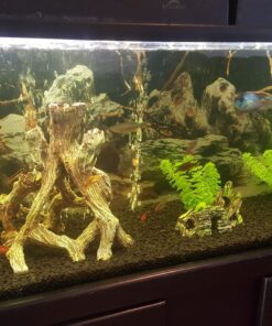 Marina Decor Mangrove Root, Large 42 81xlHXGhQJL