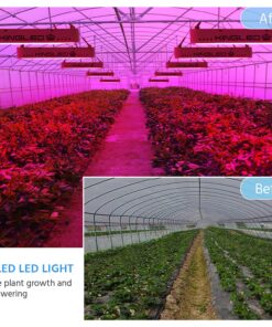 KingLED 2023 Newest 1500w LED Grow Lights with Samsung LM301B LEDs 4 * 4 ft Coverage Full Spectrum Grow Lights for Indoor Hydroponic Plants Greenhouse Growing Lamps Veg Bloom Daul Mode 30 81xlcE6v2oL