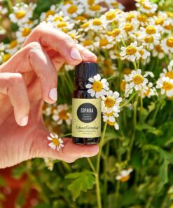 Edens Garden Copaiba Essential Oil, 100% Pure Therapeutic Grade (Undiluted Natural/Homeopathic Aromatherapy Scented Essential Oil 10 ml 10 ml (.33 fl oz) 10 81xliO6GO5L