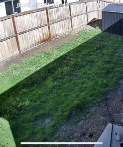 Hydro Mousse Liquid Lawn System - Grow Grass Where You Spray It - Made in USA High Performance Grass Blend 24 81xmSwvgZiL