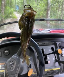 Ugly Stik Dock Runner Spinning Reel and Fishing Rod Combo 3' - Medium - 1pc New Model 22 81xofXlbCgL