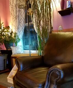 Foxelli Rechargeable Headlamp Flashlight - Super Bright LED Head Lamp for Running, Camping, Hiking & Work, Lightweight Comfortable Head Light for Adults and Kids Black 31 81xpicpokkL