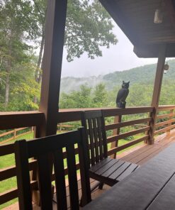 Dalen Fake Owl Decoy to Scare Birds Away from Gardens, Rooftops, and Patios - Scarecrow Provides Chemical-Free Pest Control - Safe and Humane, 18" 360º Rotating Head 38 81xqEZ2wWIL