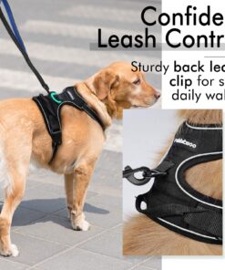 rabbitgoo Dog Harness, No-Pull Pet Harness with 2 Leash Clips, Adjustable Soft Padded Dog Vest, Reflective No-Choke Pet Oxford Vest with Easy Control Handle for Large Dogs, Black, XL X-Large 34 81xqISWeZRL