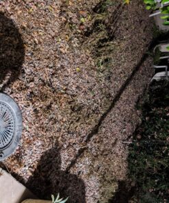 Compare-N-Save 75324 Herbicide, 1-gallon, white 52 81xr2Mc5VL