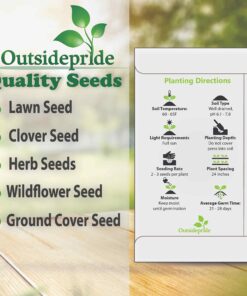 Outsidepride Indian Springs Hollyhock Garden Flower Climbing Vine Plant Mix - 1000 Seeds Indian Spring 23 81xsNjMulZL