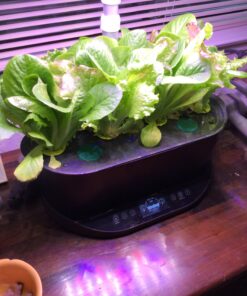 AeroGarden Salad Greens Mix Seed Pod Kit, 7 pod 38 81xuRXyEM6L