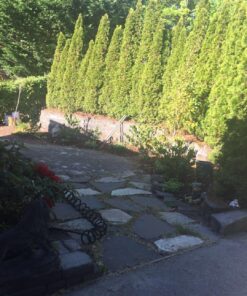 Gilmour Solid Brass Twist Nozzle (805282-1001) 17 81xvGv5tdL