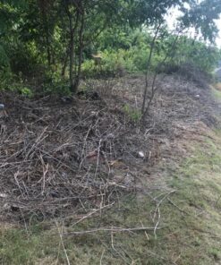 ATIE 10" x 3T 10-inch x 3 Teeth Steel Brush Cutter Trimmer Weed Eater Blade (1 Pack) 1 19 81xvcG6bZLL