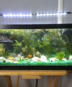 PENN-PLAX Standard Airline Tubing for Aquariums – Clear and Flexible – Resists Kinking – Safe for Freshwater and Saltwater Fish Tanks – 8 Feet 23 81xy z3EoRL