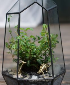 82 Piece Mini Dinosaur Toy Set for Dino Party Favor Supplies Birthday Cupcake Toppers - Assorted Vinyl Plastic Figure Toys for Kids Toddler Pinata Filler School Carnival Prize Bulk Goodie Bag Stuffers 43 81xyyTJASrL