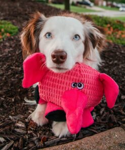 SmartPetLove Snuggle Puppy Tender-Tuffs Ball - Round Pink Elephant Plush Dog Toy - Cute and Fun Plush Ball with Squeakers 10 81y2pEDzEkL