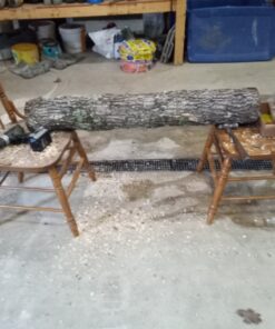 2funguys Shiitake Plug Spawn Starter Kit - Grown Your Own Mushrooms 31 81y6rE377zL