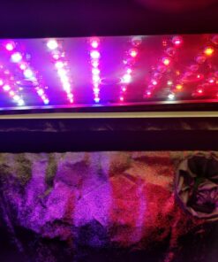 KingLED Newest 3000w LED Grow Lights with LM301B LEDs 4 * 2ft Coverage Full Spectrum Grow Lights for Indoor Hydroponic Plants Veg Bloom Greenhouse Growing Lamps 55 81y74O1dfLL