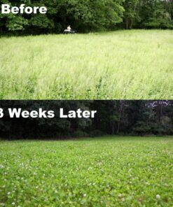 Whitetail Institute Arrest Max Selective Grass Control Herbicide Specifically Developed for Deer Food Plots, 1 Pint 21 81y9XMtBJWL