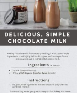 Wildly Organic Chocolate Syrup - Certified Organic Vegan Fair Trade Non-GMO Kosher - 2 Ingredient - 20 Oz. 1.25 Pound (Pack of 1) 14 81yDIvR1UIL