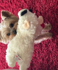 Multipet Plush Dog Toy, Lambchop, 10", White/Tan, Small 10" 37 81yEyb29 SL