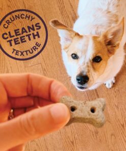 Old Mother Hubbard by Wellness Classic Natural Puppy Treats, Crunchy Oven-Baked Biscuits, Ideal for Training, Mini Size Dog Treats, 20 ounce bag 15 81yFpGYvA9L 1