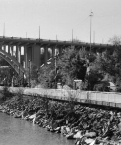 Kodak Professional 100 Tmax Black and White Negative Film (ISO 100) 35mm 36 Exposures (853 2848) 1-Pack 7 81yJig89QBL