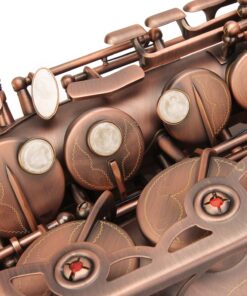 GLORY High Grade Antique Finish Series PR1, E Flat Alto Saxophone with 11reeds,8 Pads Cushions,case,carekit 15 81yLrp2s4PL