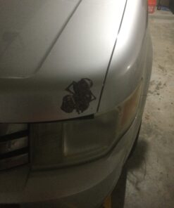 See No Evil Hear No Evil Speak No Evil Decal 5" 12 81yRLbH NEL