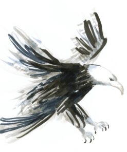 Faber-Castell 4 x Pitt Artist Pens (Soft Brush) Shades of Grey Pitt Artist Pen Set of 4 (Soft Brush) - Shades of Grey 11 81yT6uhIClL 1