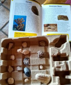 NATIONAL GEOGRAPHIC Mega Fossil Dig Kit - Excavate 15 Genuine Prehistoric Fossils, Kids Educational Toys, Great Science Kit Gift for Girls and Boys (Amazon Exclusive) 38 81yUAKaGcDL