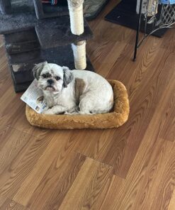 MidWest Homes for Pets Dog Bed 22L-Inch White Cinnamon Dog Bed or Cat Bed w/ Comfortable Bolster | Ideal for XS Dog Breeds & Fits a 22-Inch Crate | Easy Maintenance Machine Wash & Dry 32 81yZcmquAIL