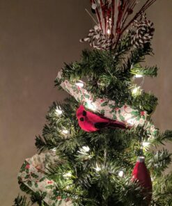 Gallerie II Cardinal Birds Clip Christmas Xmas Ornament A/2 Red 17 81yaU5HBCQL