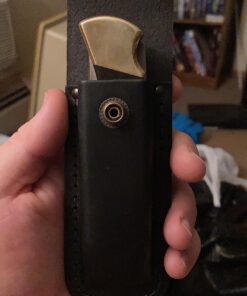 Buck Knives 110 Folding Hunter Lock-back Knife, Brass Bolsters, Ebony Handles, 3-3/4" 420HC Blade with Leather Sheath Classic 3.75" 47 81yeU3MJPLL