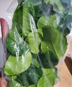 Fresh Kaffir Lime Leaves (Thai Lime Leaves) 1 Oz. ใบมะกรูด, 17 81yicqCF5L