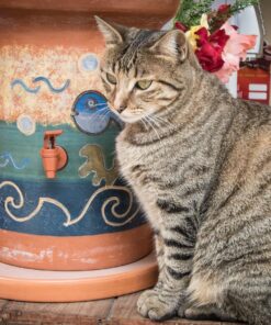 Nikon D500 DX-Format Digital SLR (Body Only), Base 94 81yjz1Kx7eL