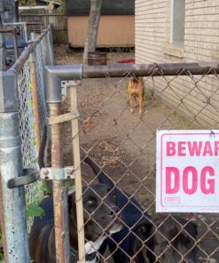 Neogen Ramik Green Fish Flavored Weather Resistant Rodenticide Nuggets, 4 lb bag 4-pound pouch 53 81yl ddnA2L