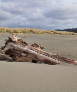 K&F Concept 82mm Variable Fader ND2-ND32 ND Filter and CPL Circular Polarizing Filter 2 in 1 for Camera Lens No X Spot Waterproof Scratch Resistant (Nano-X Series) 32 81ylqKsWt7L 2